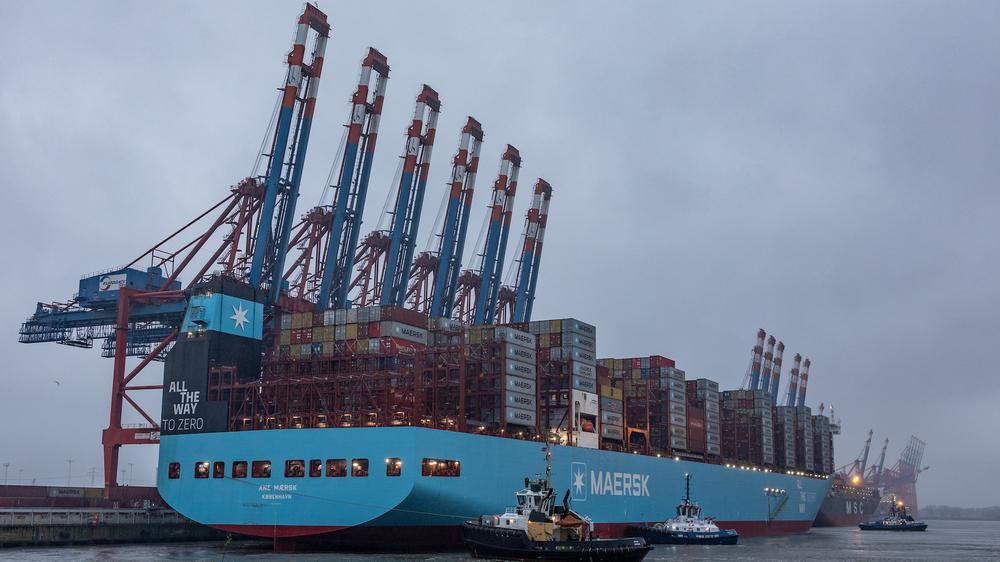 Containerschiff "Ane Maersk": Der Containerfrachter "Ane Maersk" ist 350 Meter lang und 53,5 Meter breit und kann maximal 16.200 Standardcontainer transportieren