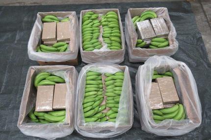 Beschlagnahmtes Kokain am Zoll, was in Bananenkisten gefunden wurde. 