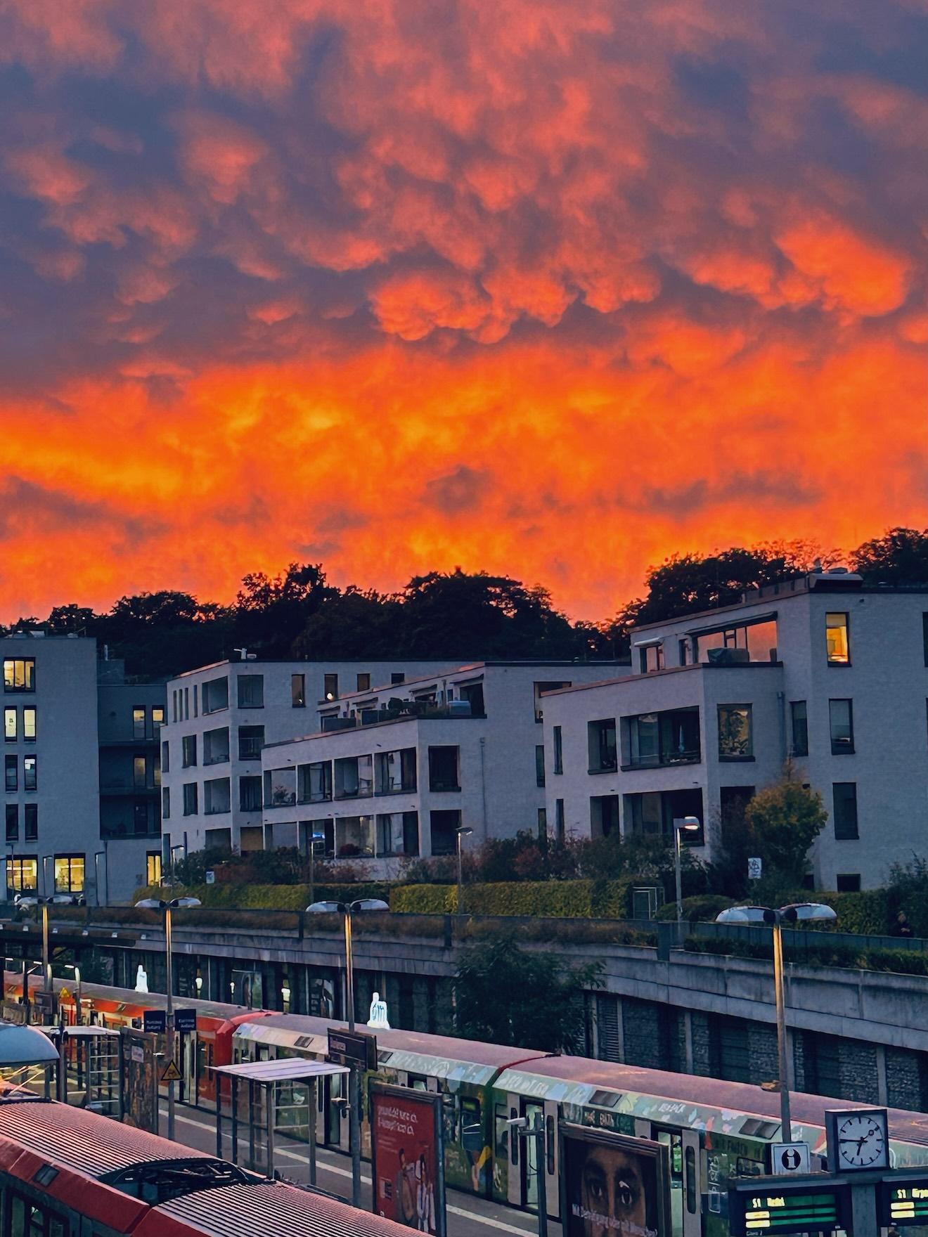 Sonnenuntergang über Blankenese