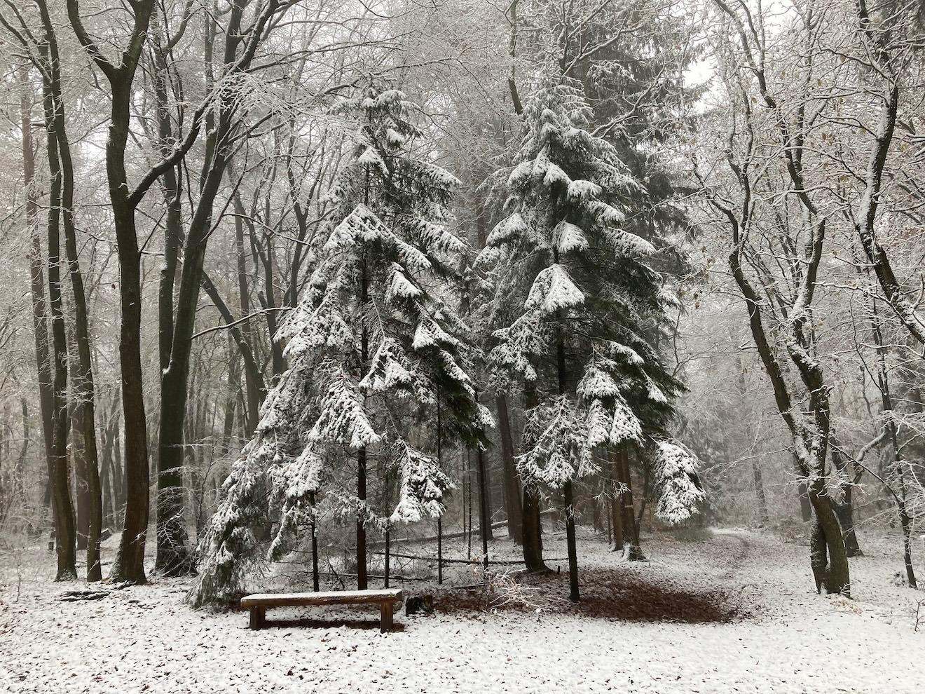 Erster Schnee in den Harburger Bergen