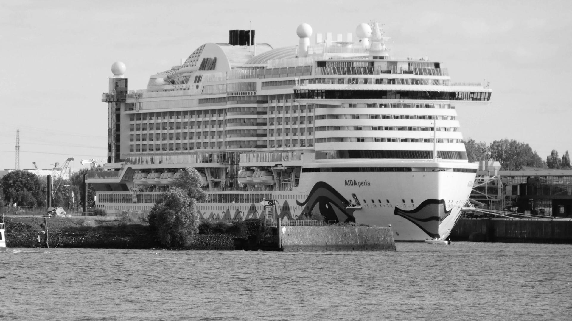 Tourismus in Hamburg: Hamburgs Kreuzfahrtboom – Fluch oder Segen?