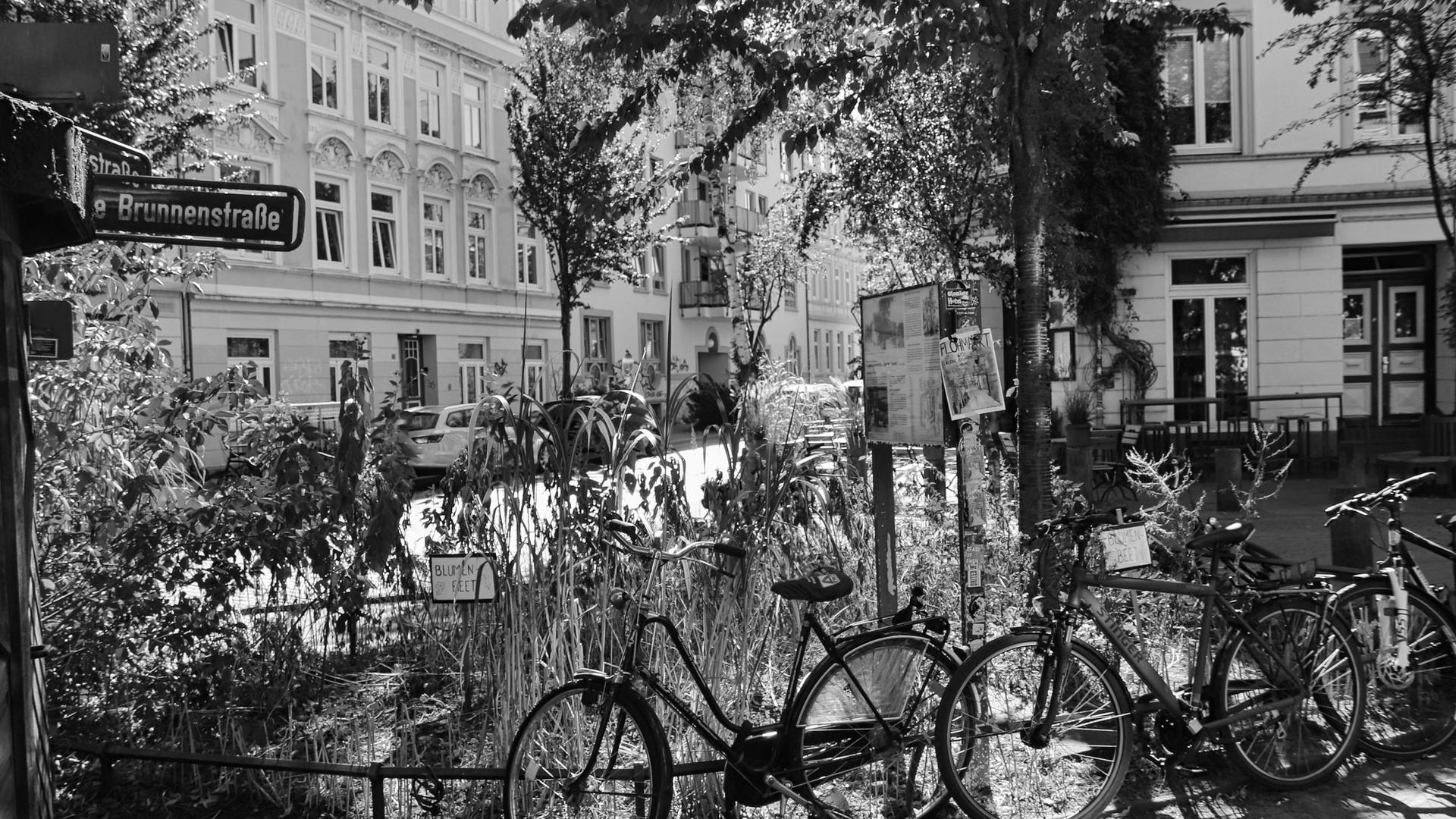 Sommer in Hamburg: Wie der Sommer in der Stadt richtig gut wird