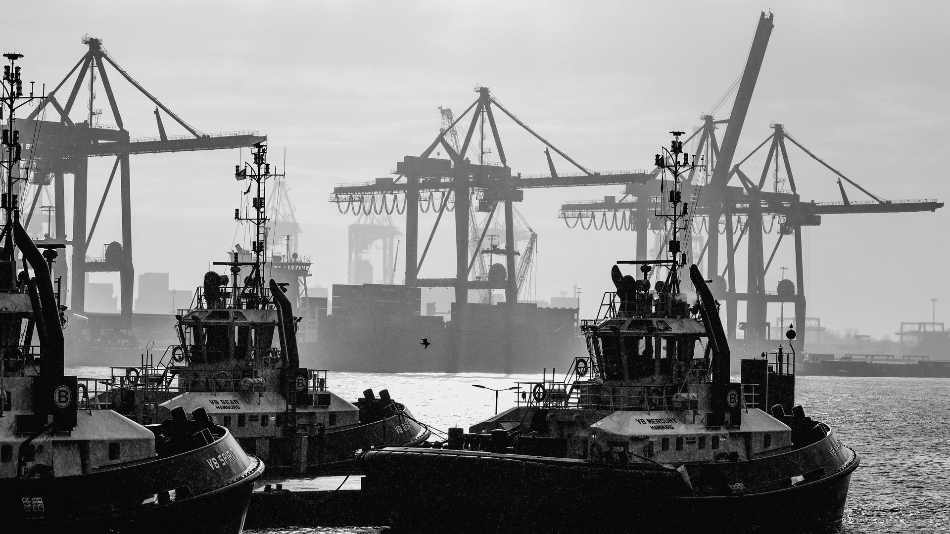 Klimaentscheid: Was der Klimaentscheid für Hamburgs Wirtschaft bedeutet