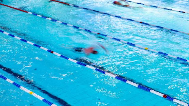 Elbvertiefung: Der tägliche Newsletter aus Hamburg: Warum das Ohlsdorfer Schwimmbad heute trockenfä…