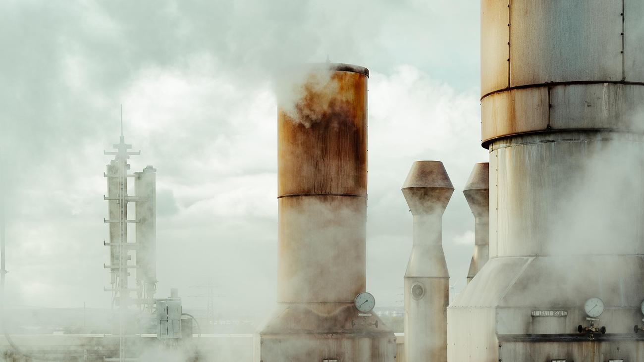 CO₂-Abscheidung im Hamburger Hafen: "Ohne uns wird die Stadt ihre Klimaziele nicht erreichen"