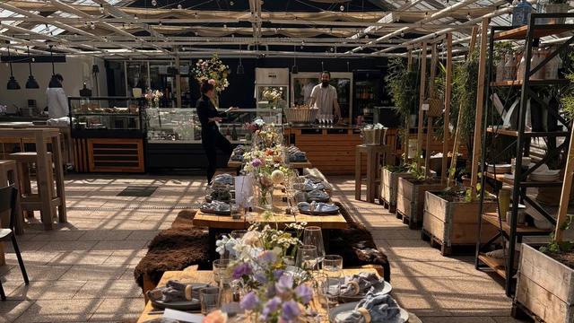 Elbvertiefung: Der tägliche Newsletter aus Hamburg: Hier gibt’s Brunch im Gewächshaus. Unser Gastroexperte hat gekostet