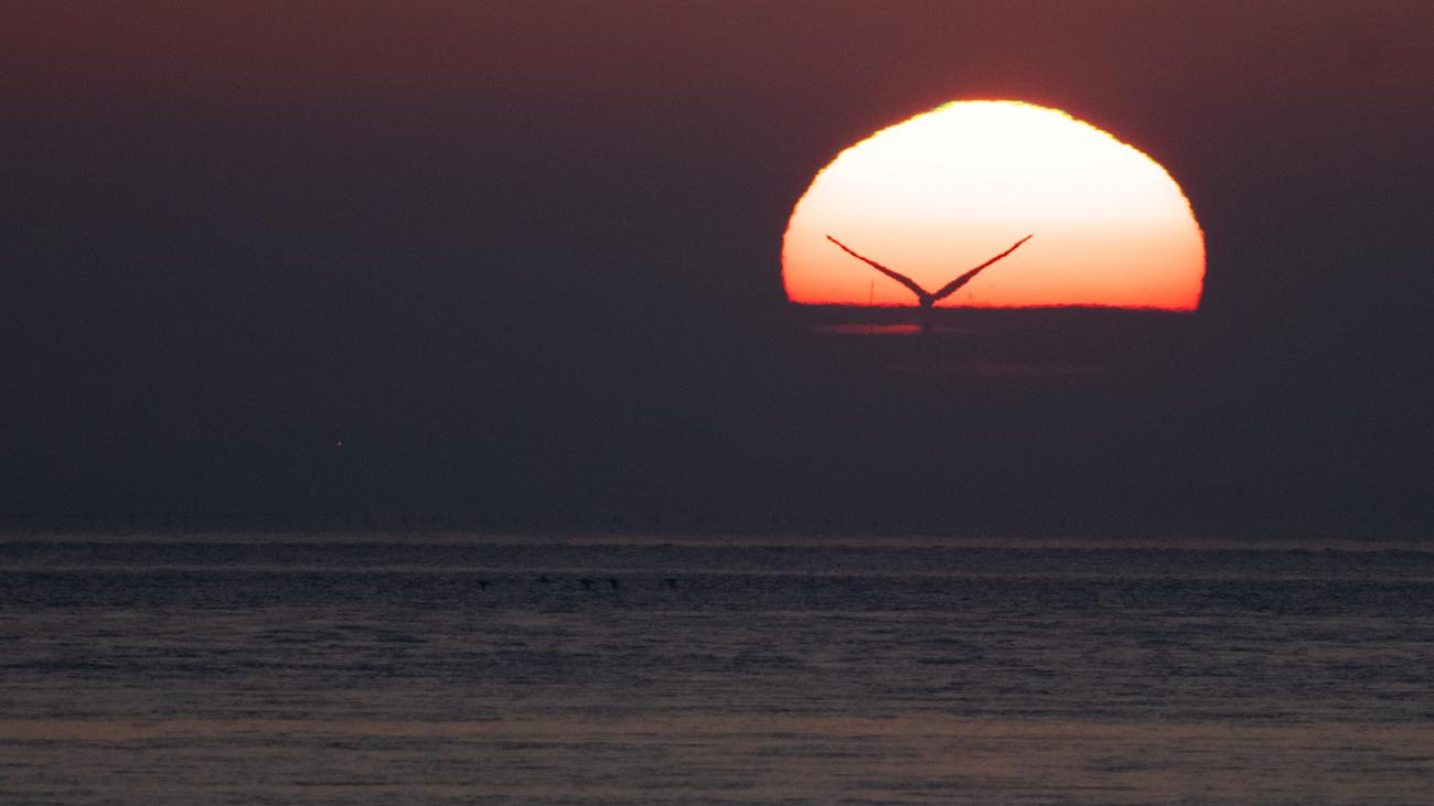 Start-up Planeteers: Ab ins Meer damit?