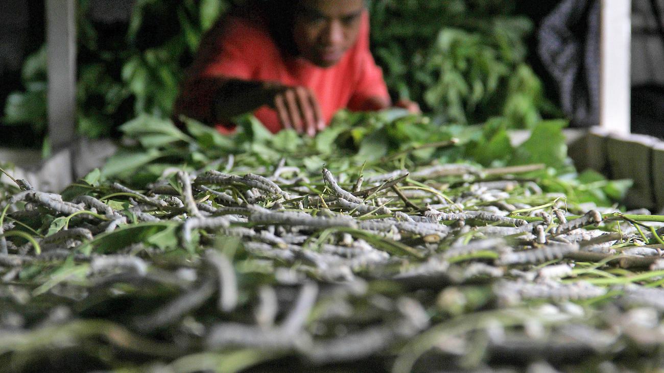 Indonesia: Sentuhan Sutra