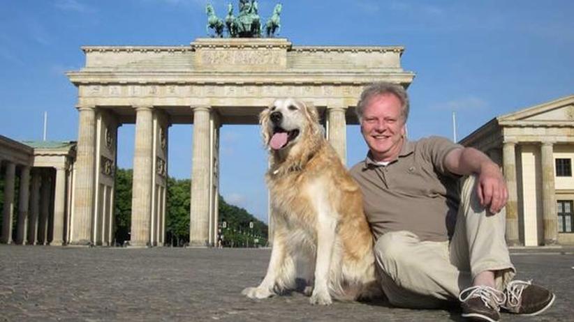 Tiere am Arbeitsplatz "Hunde im Büro senken den Stresslevel" ZEIT ONLINE