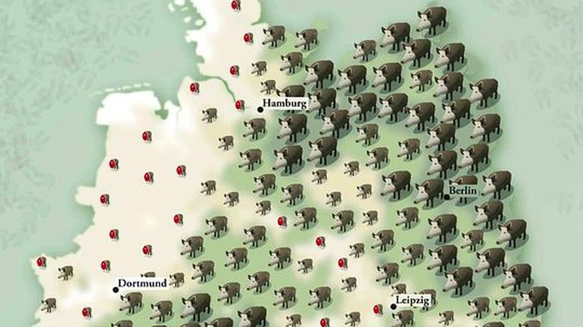 Deutschlandkarte: Wo gibt's die meisten Wildschweine? | ZEIT ONLINE