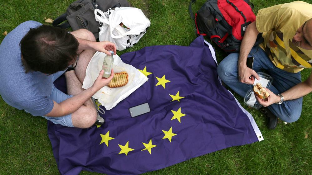 Europa: Da hat die EU doch endlich mal einen Nutzen: Brexit-Gegner beim Picknick in London
