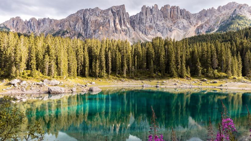 Image result for natur