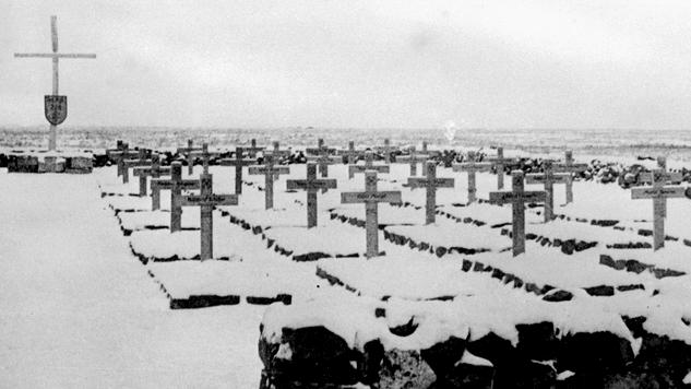 Stalingrad: Krähen, die vereiste Tote fressen