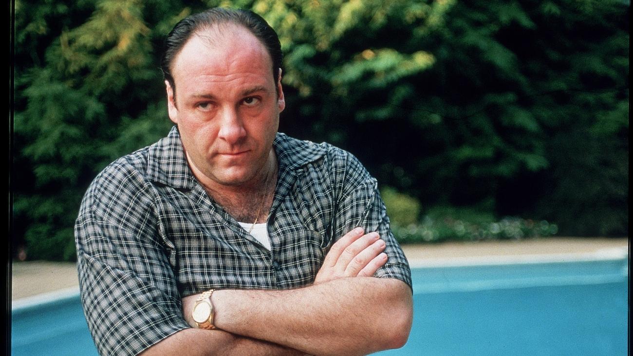 The Sopranos Im Planschbecken Der Mannlichkeit Zeit Online