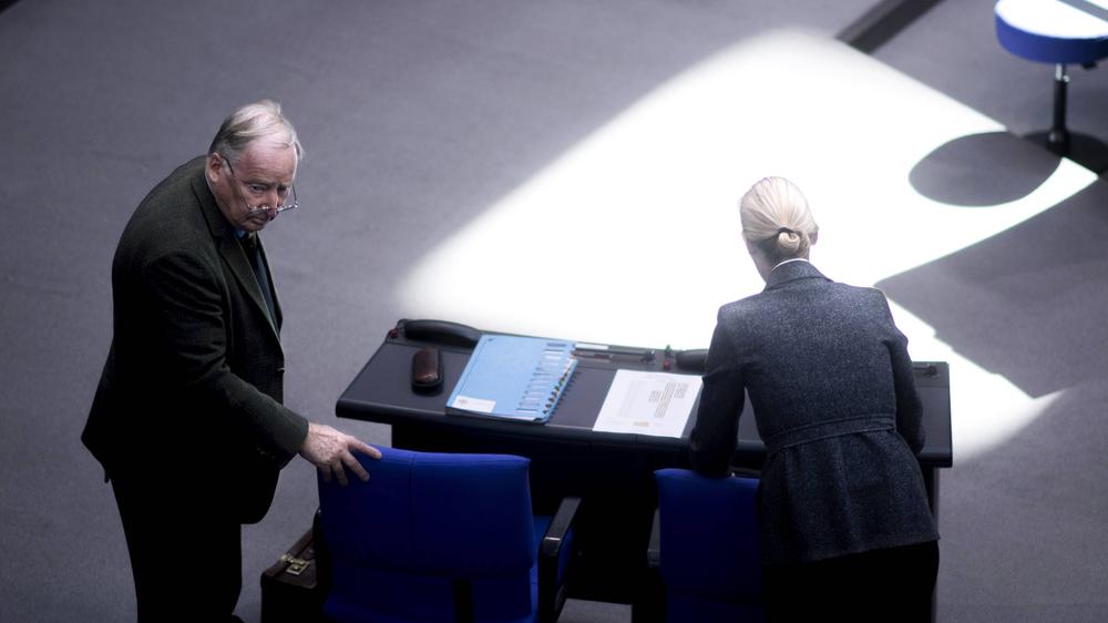 AfD: Auch so ein Kompositum: Die Fraktionsvorsitzenden der AfD im Bundestag Alexander Gauland und Alice Weidel