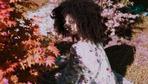 Haare: Mein Afro, mein Kopf