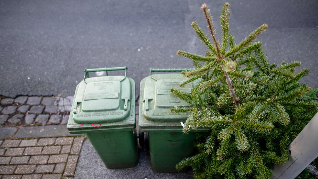 Weihnachten Und Corona Lametto Mio Zeit Online