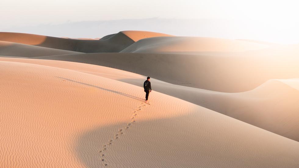 Psychologie: Einsamkeit empfinden wir wie eine Wüste, als lebensfeindliche Umgebung.