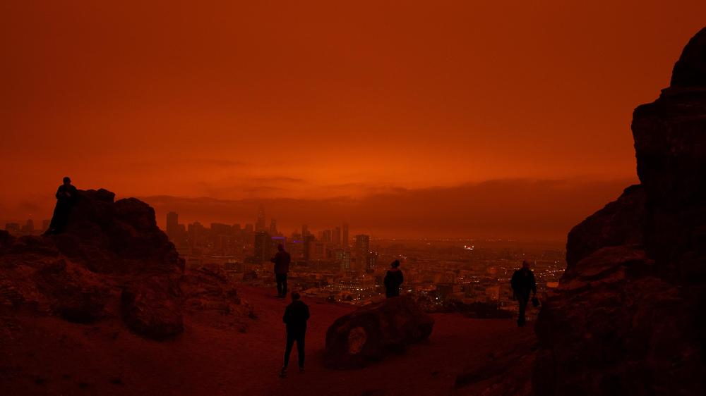 Nancy Fraser: Der Kapitalismus zerstört jene Grundlagen, auf die er eigentlich angewiesen ist. Dazu gehören auch ökologische Ressourcen.