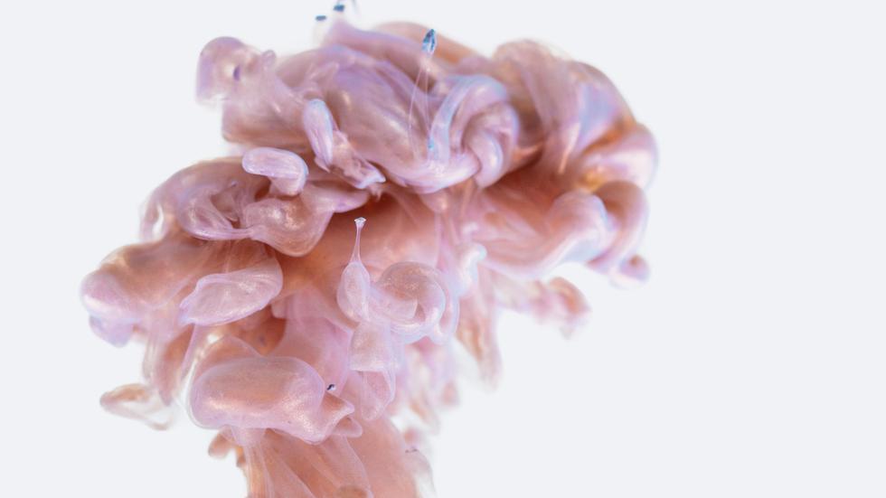 Liya Yu: "Auf der Gehirnebene spielen sich Dinge ab, die wir mit Umfragen, mit Verhaltensbeobachtung allein nicht erklären können", sagt Politologin Liya Yu.