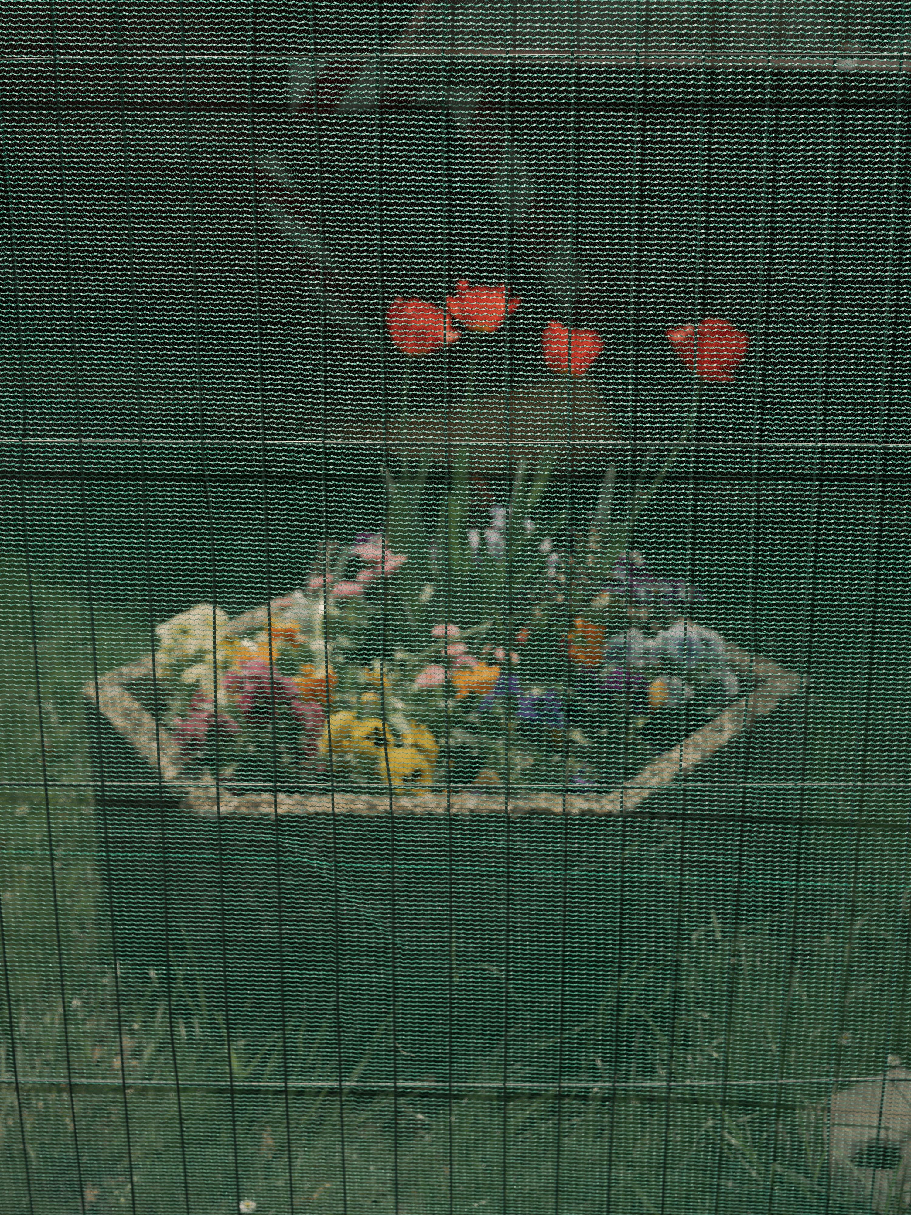 Parkfriedhof Lichterfelde Berlin Gartendenkmal 47