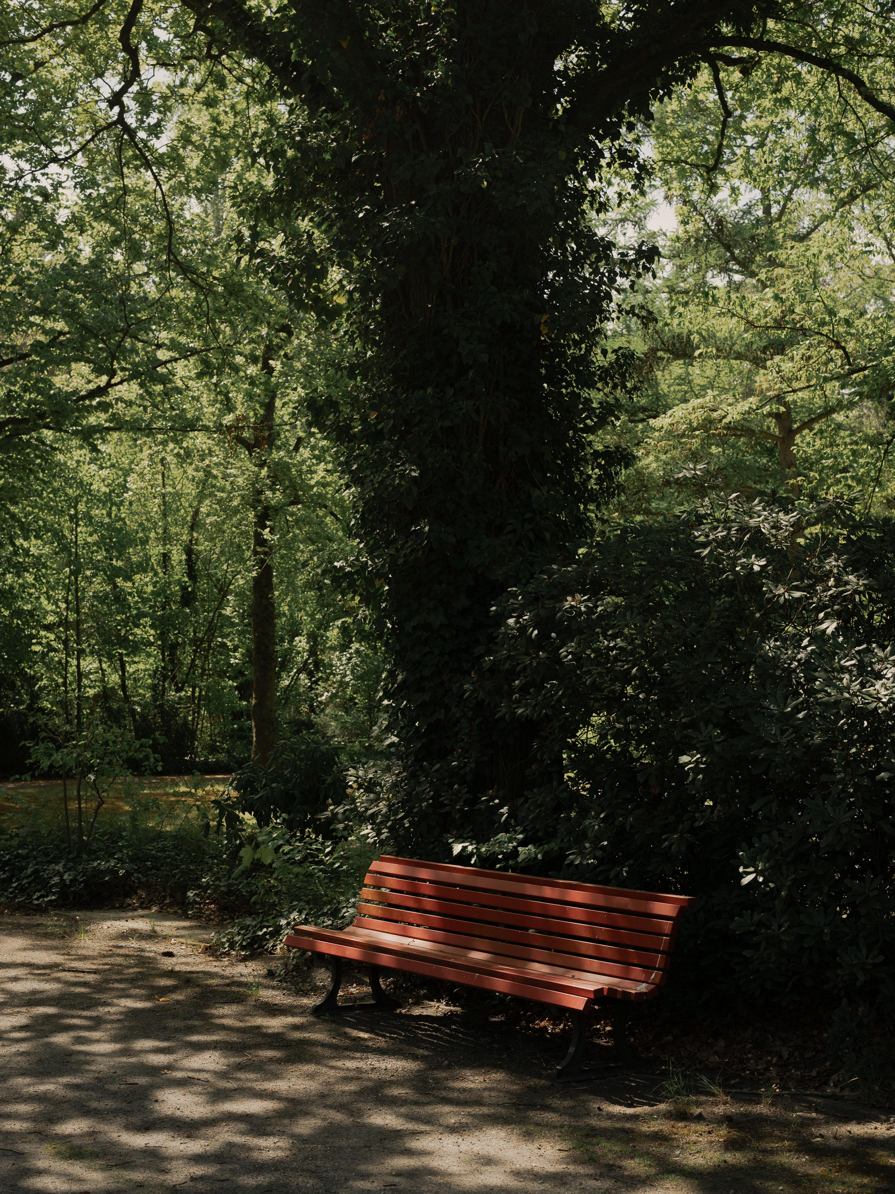 Parkfriedhof Lichterfelde Berlin Gartendenkmal 21