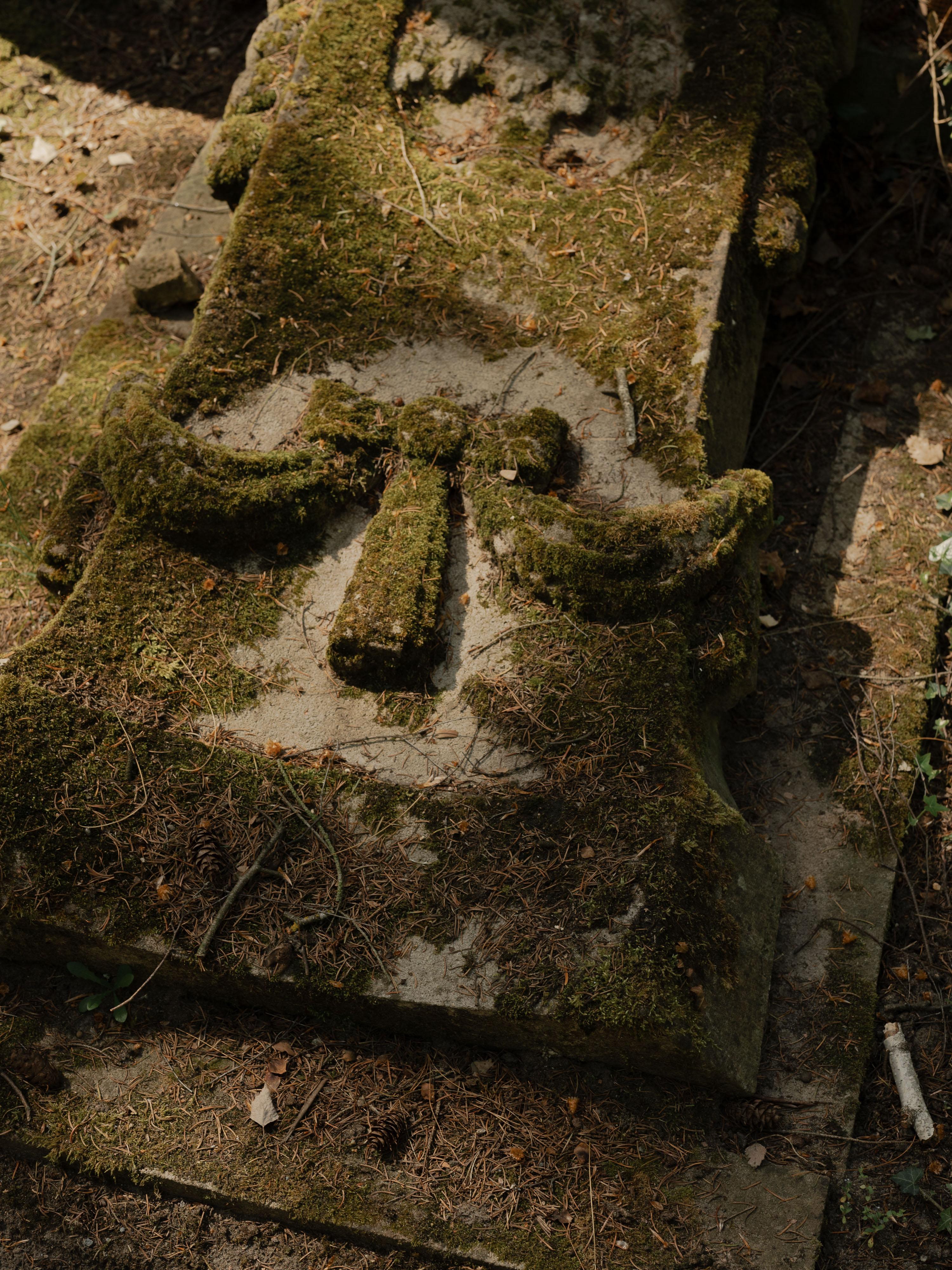 Parkfriedhof Lichterfelde Berlin Gartendenkmal 32