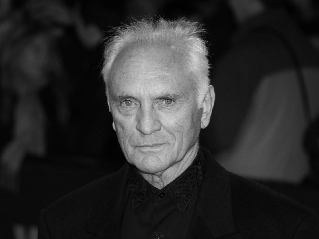 Superman"-Filme: Britischer Schauspieler Terence Stamp ist gestorben | DIE  ZEIT