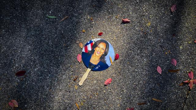 Starrsinn: Welch bemerkenswerte Dickköpfigkeit