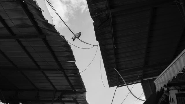 Politische Spaltung in Israel: Im Inneren geht der Krieg weiter