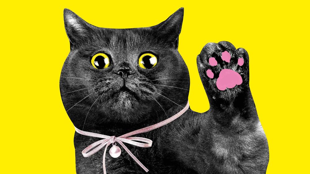 "KATZEN!"-Ausstellung in Hamburg: Miau? Miau.