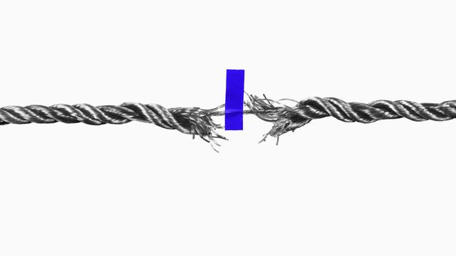 AfD: Vertrauen heißt Kontrollverzicht