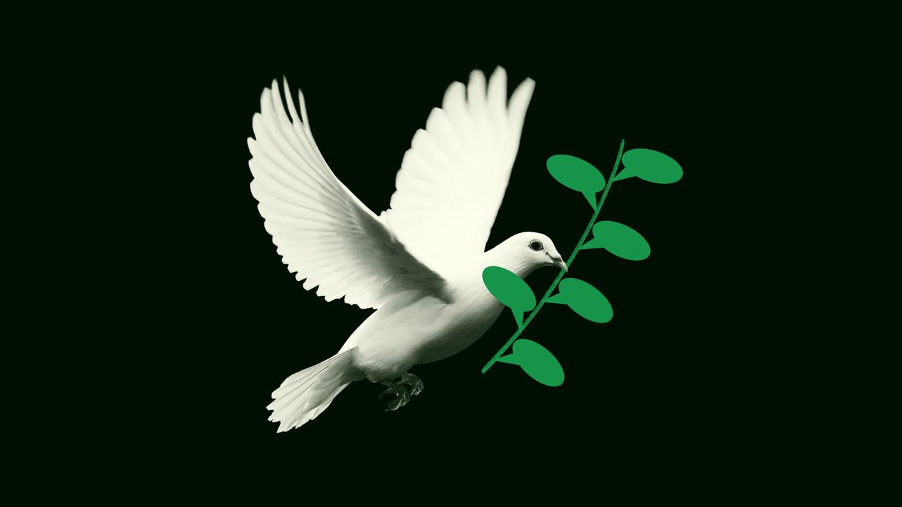 Julian Nida-Rümelin: Man wird jetzt wieder träumen müssen