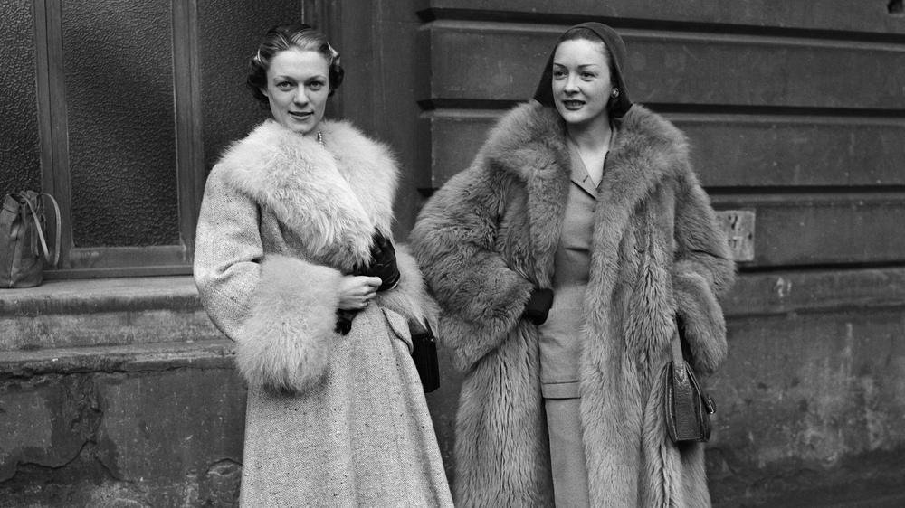 Naturpelz: Wissen Sie, wie viel Kraft und Halt so ein bockiger Nutria gibt, schimmernd wie eine Rüstung in allen Schattierungen von Schwarz?