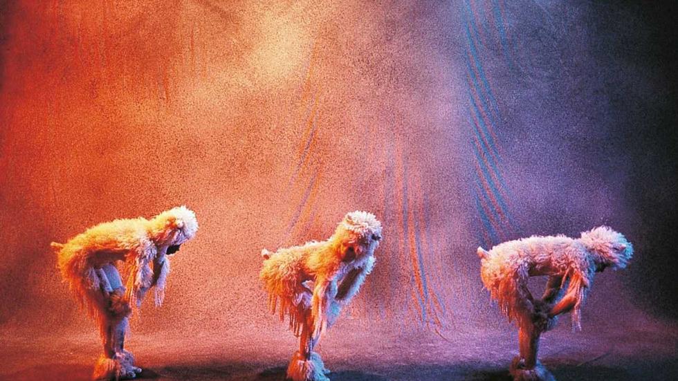 Arte Unsere AntiAnstalt ZEIT ONLINE