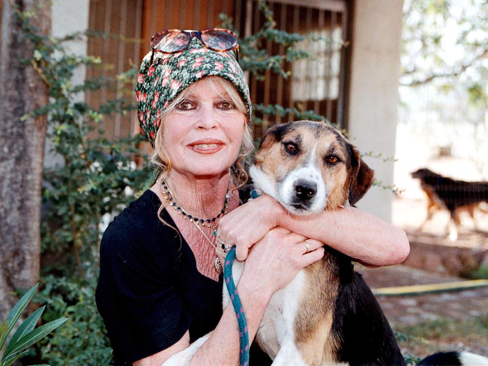 Brigitte Bardot: Nachdem sie sich Anfang der Siebzigerjahre aus dem Filmgeschäft zurückgezogen hatte, verschrieb sich Brigitte Bardot dem Tierschutz, hier 2001 im Hundeheim „The Nice Dogs” im südfranzösischen Carnoules.
