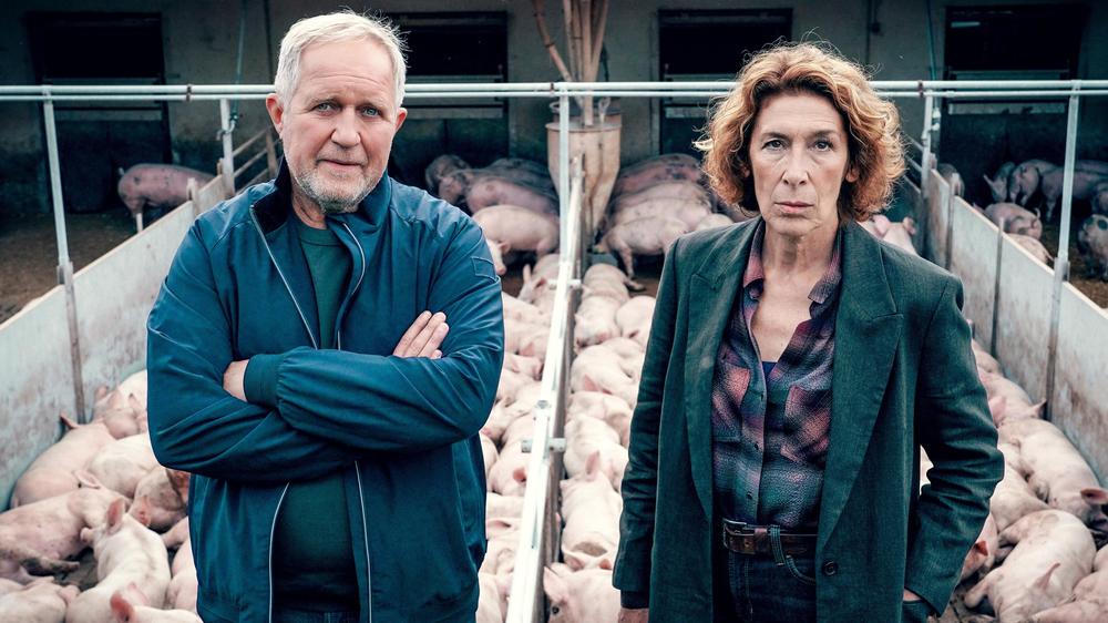 "Tatort" Wien: Abledern über Tierschützer: Der Eisner (Harald Krassnitzer) und die Bibi (Adele Neuhauser) 