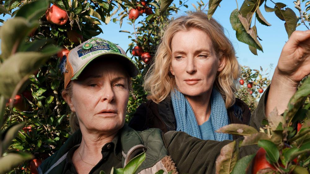  Kommissarin Charlotte Lindholm (Maria Furtwängler, rechts) investigativ bei der Apfelernte mit Marlies Feldhusen (Lina Wendel)