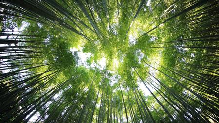 Naturbucher Belagerte Schone Natur Zeit Online