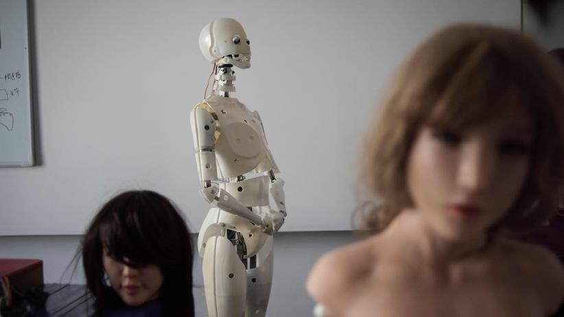 "Sex machina": Ein Enwicklungslabor für "smart sex dolls" im chinesischen Dalian