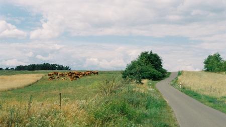 Lola Randl Zombie Corona Auf Dem Lande Zeit Online