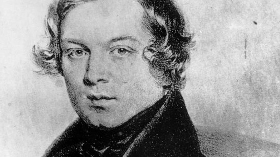 200 jahre robert schumann ein singender punkt am himmel zeit online