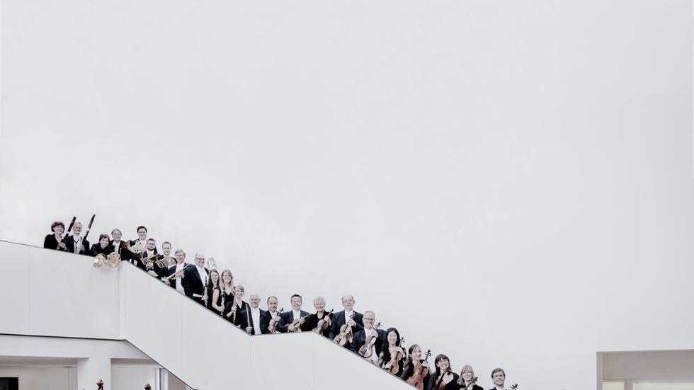 Blind Auditions Wer alle hören will, muss wohl doch sehen ZEIT ONLINE