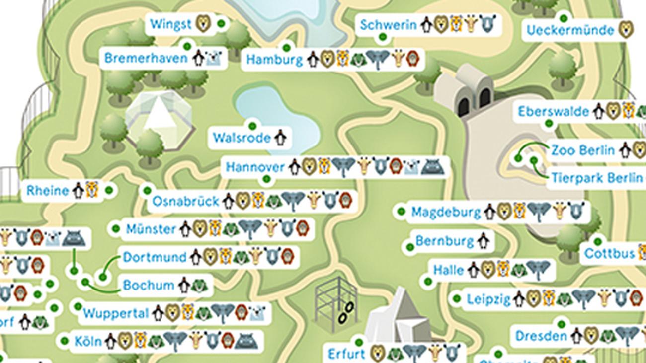 Deutschlandkarte: Welche Zootiere sieht man am häufigsten? | ZEIT ONLINE