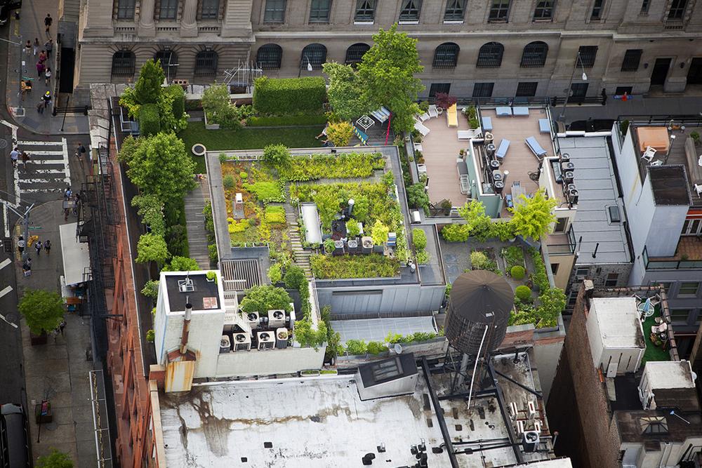 Dachgärten New York in fünfter Dimension ZEIT ONLINE