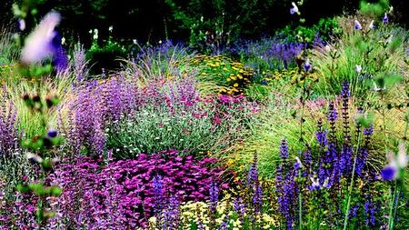 Gartengestaltung Das Gluck Ist Grun Zeit Online