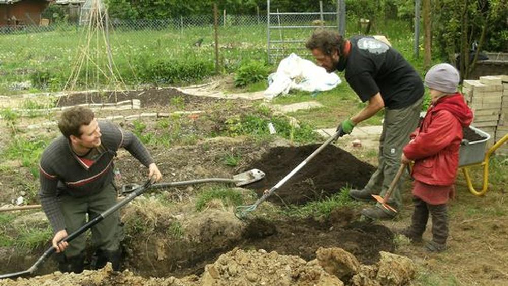 Gartengeschichten Experimente im Gemeinschaftsgarten ZEIT ONLINE