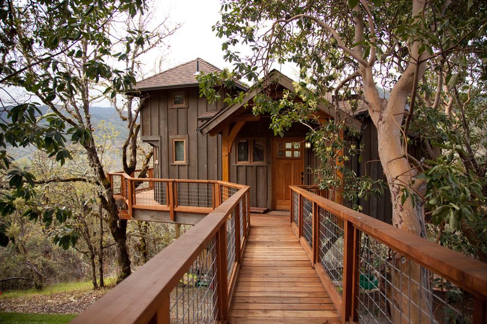 Baumhaus-Architektur: Hoch hinaus! | DIE ZEIT