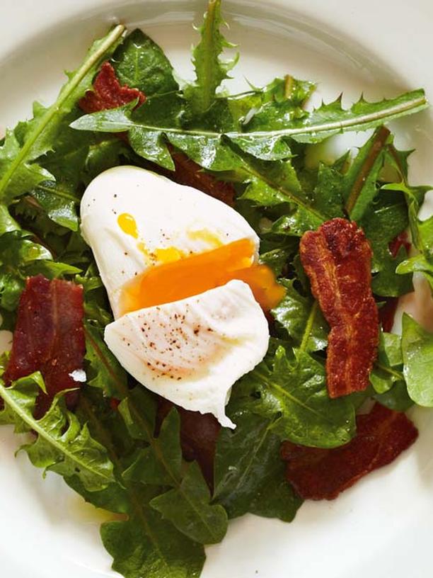 Löwenzahnblätter - Rezepte und Tipps | ZEITmagazin | ZEITmagazin