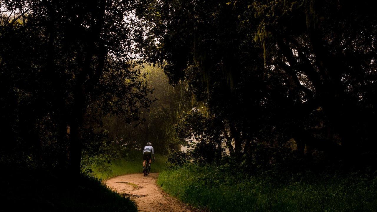 zeit online gravel bike